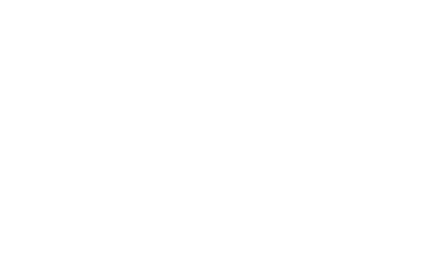 bridgeman_logo_white